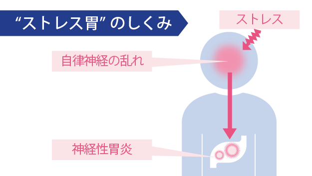 太田漢方胃腸薬Ⅱ