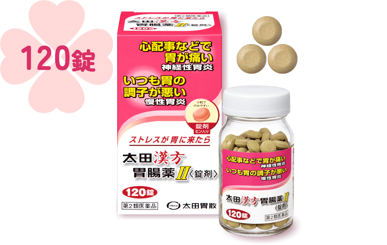 太田漢方胃腸薬II 120錠